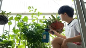 1.001 cách tiết kiệm điện: Bắt đầu từ một thay đổi nhỏ