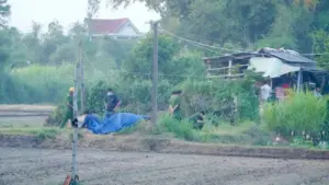 4 thi thể cháy xém trong căn nhà ở Gia Lai: Có thể là tự sát