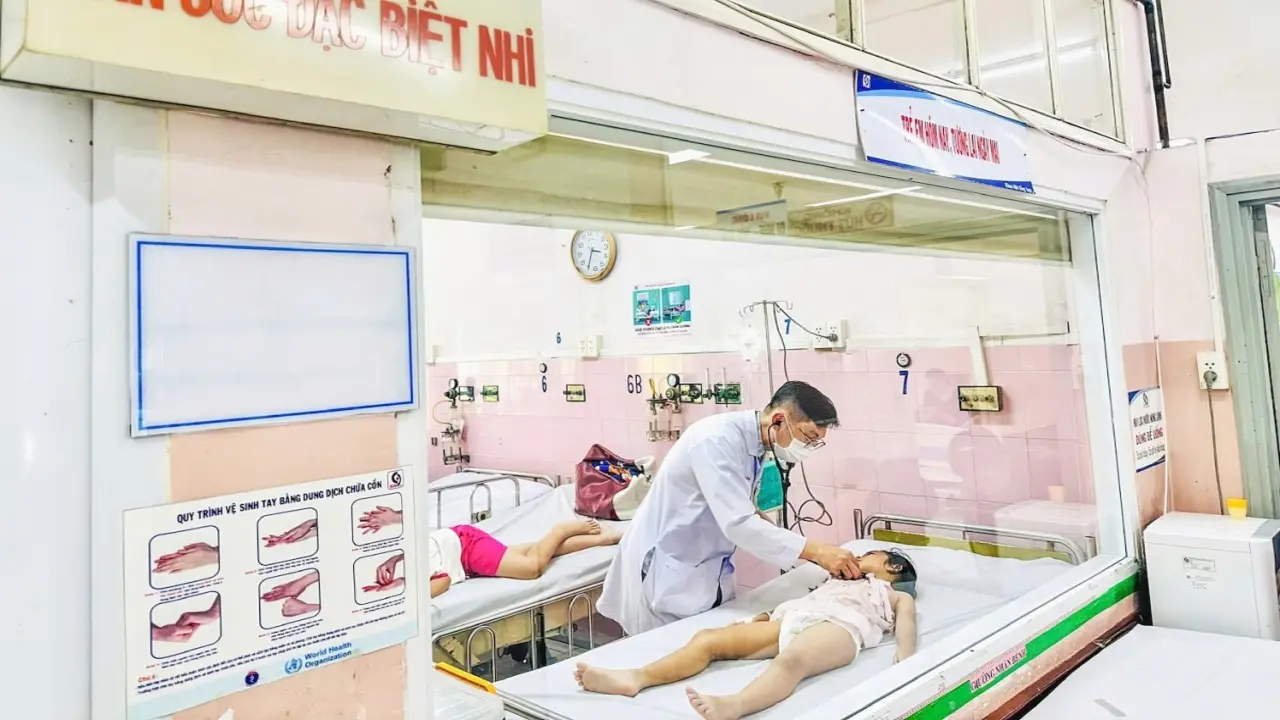 Bánh flan và canh bắp cải khiến 266 học sinh tiểu học ngộ độc
