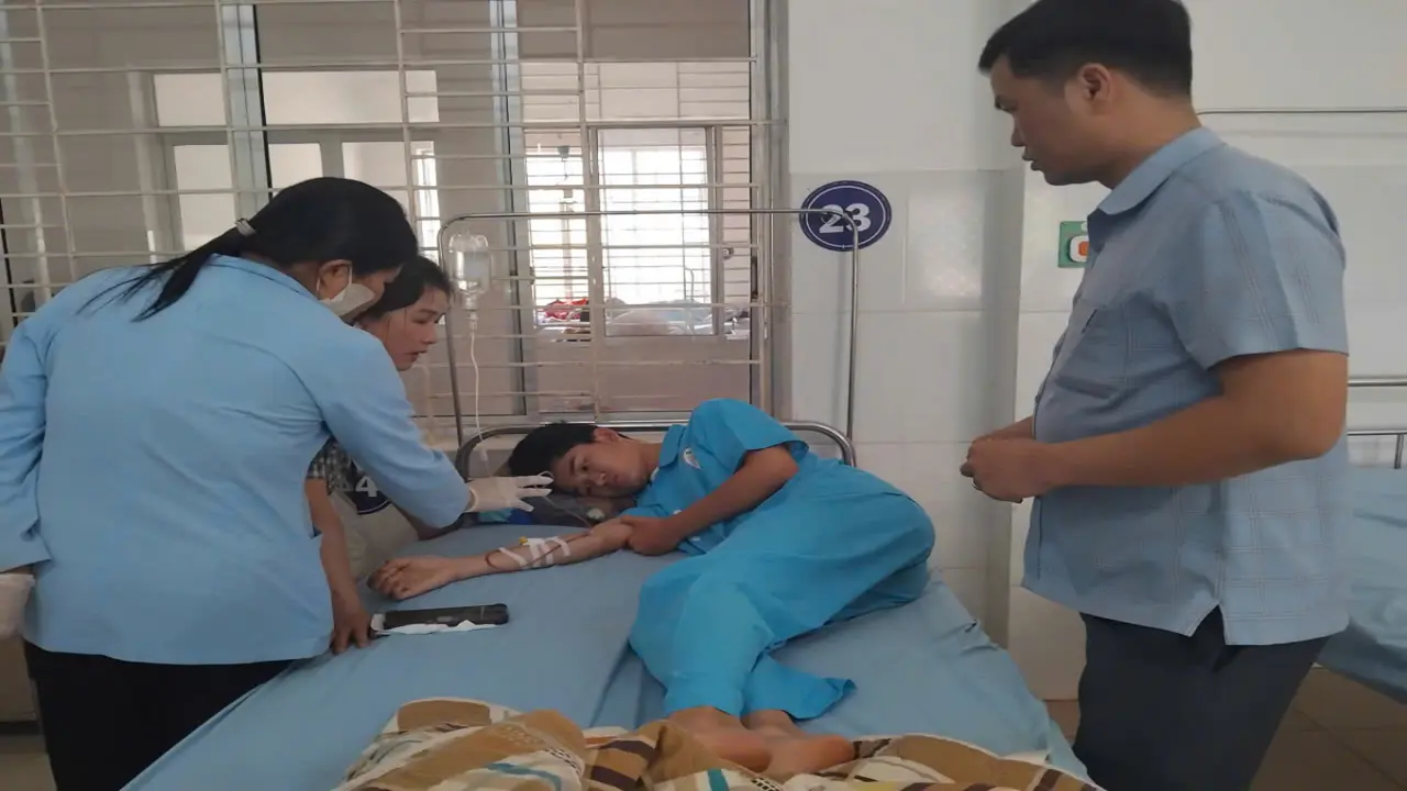 Bánh mì gây ngộ độc 86 người do nhiễm khuẩn Salmonella, E.coli