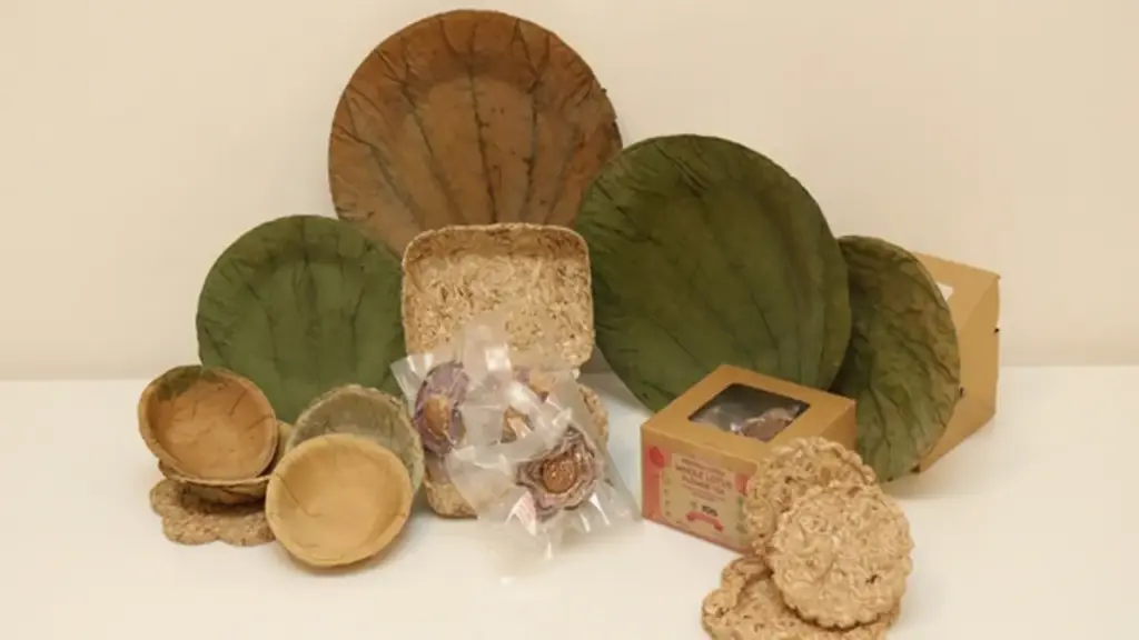 Bao bì sinh học từ lục bình: Giải pháp khởi nghiệp của nhóm sinh viên Cần Thơ