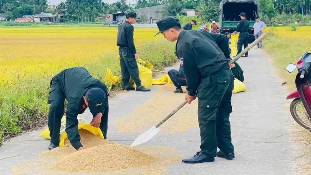 Đi làm nhiệm vụ về, thấy người khuyết tật khó nhọc gom lúa, cảnh sát cơ động dừng lại giúp
