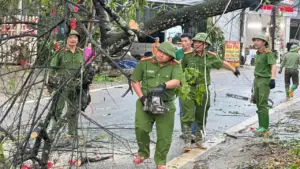 Không khí lạnh gây mưa giông cho miền Bắc từ đêm mai