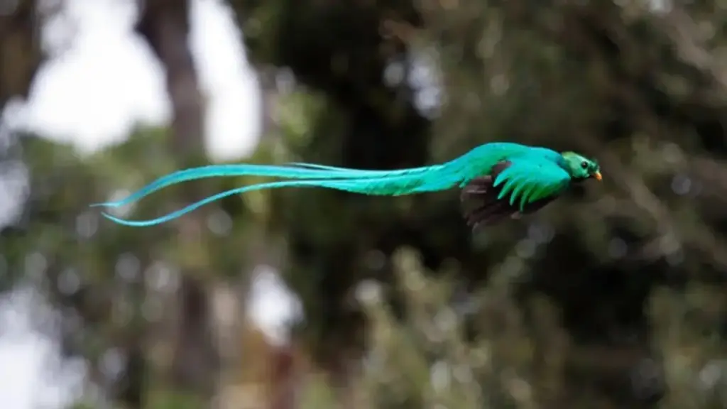 Một điểm đến ở Việt Nam vào top ngắm chim đẹp nhất thế giới