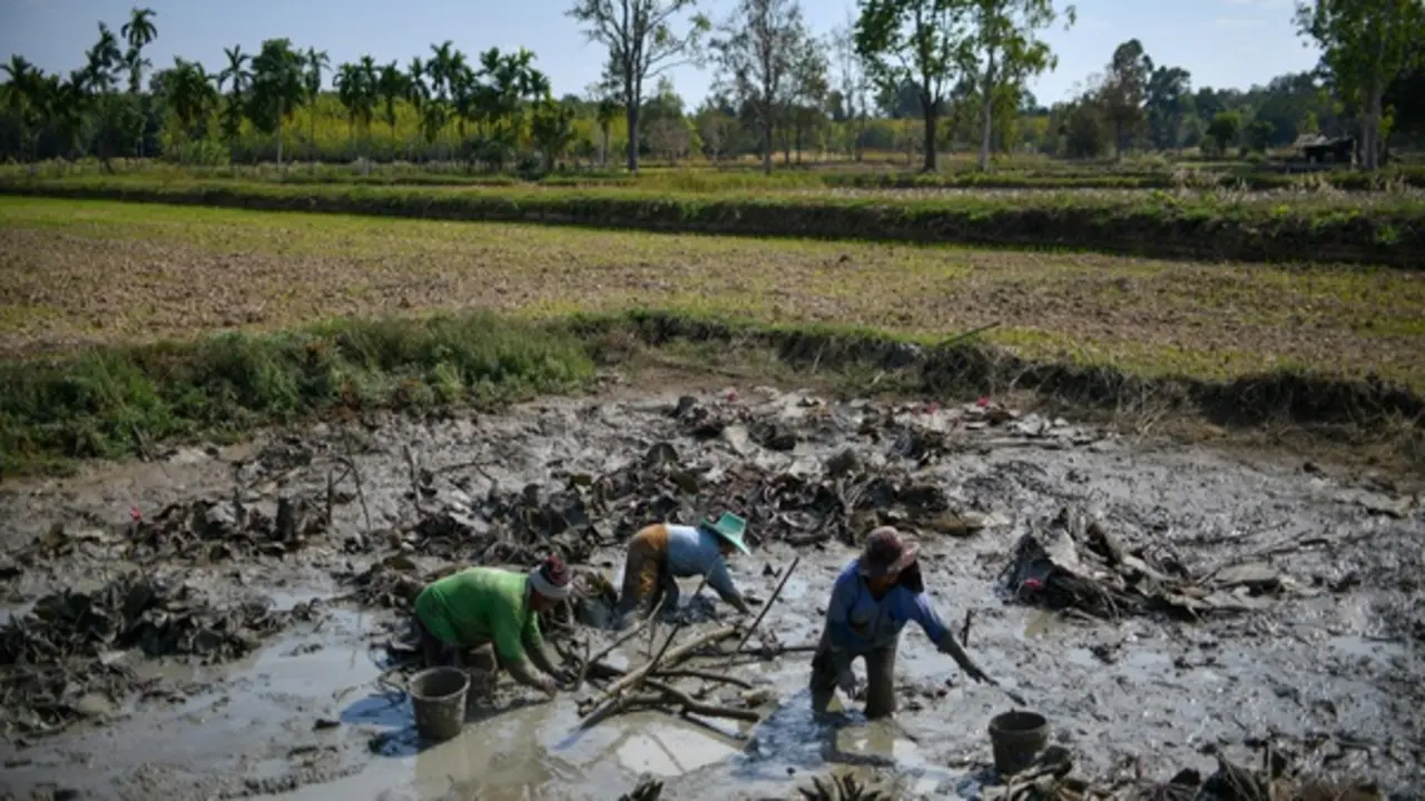 Thái Lan tăng tiền trợ cấp cho hơn 13 triệu dân