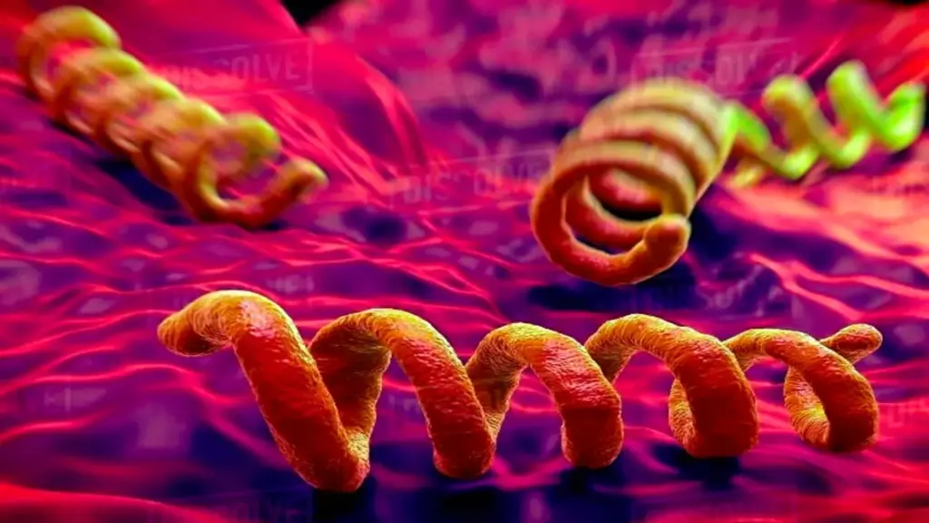 Thanh niên 20 tuổi mắc giang mai sau quan hệ với bạn tình