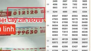 Xổ số miền Nam ngày 11 tháng 4: Lộ diện cọc vé trúng 39,2 tỉ ở TP.HCM