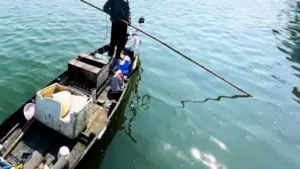 Xử phạt người lái ghe máy, kích điện tận diệt thủy sản ở Đà Nẵng